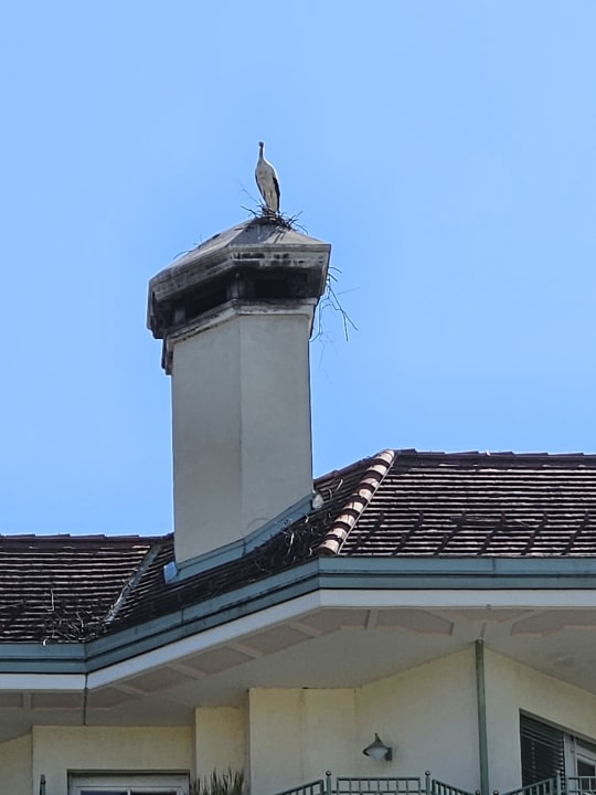 Sonstiges Reduce Hotel Thermal Bad Tatzmannsdorf