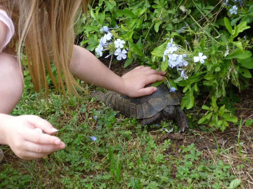 Schildi Megasaray Club Belek
