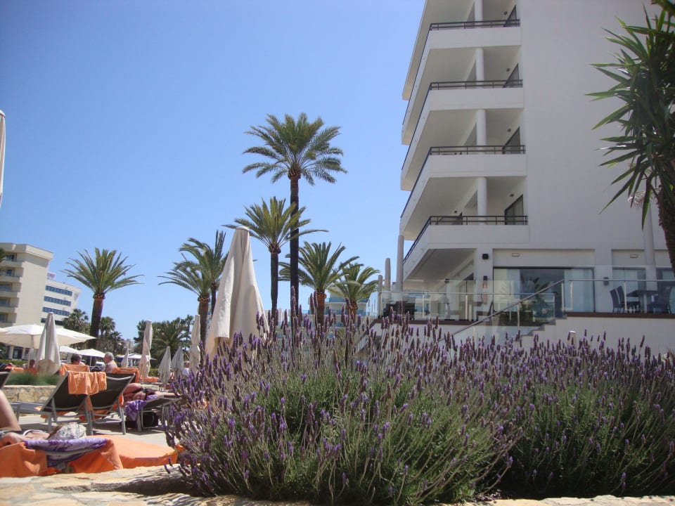 Am Pool allsun Hotel Bahia del Este