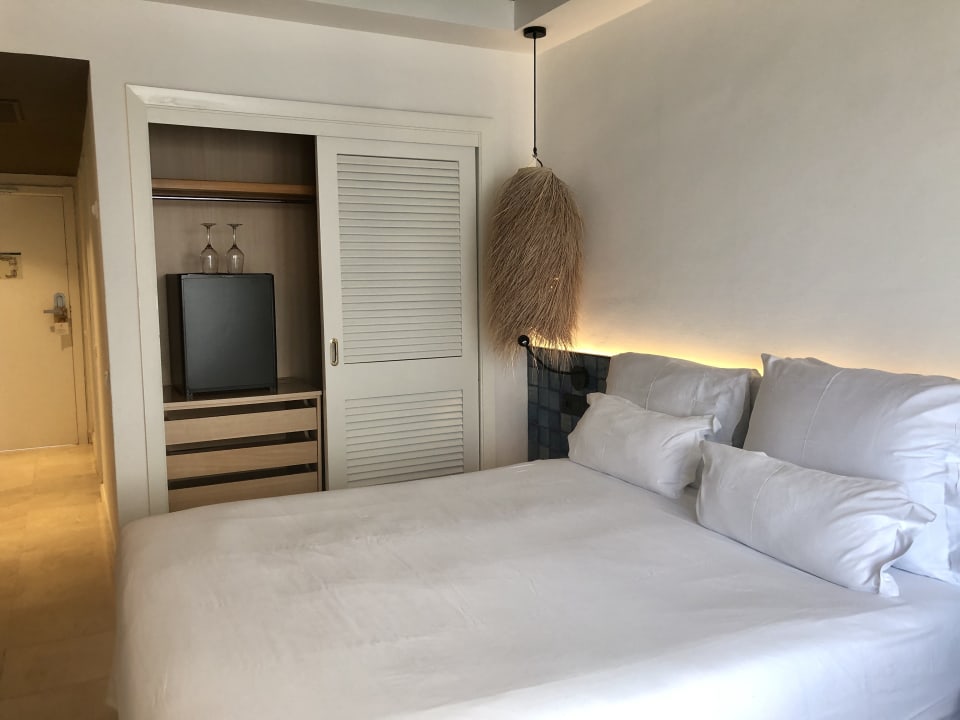 Zimmer Dreams Jardín Tropical