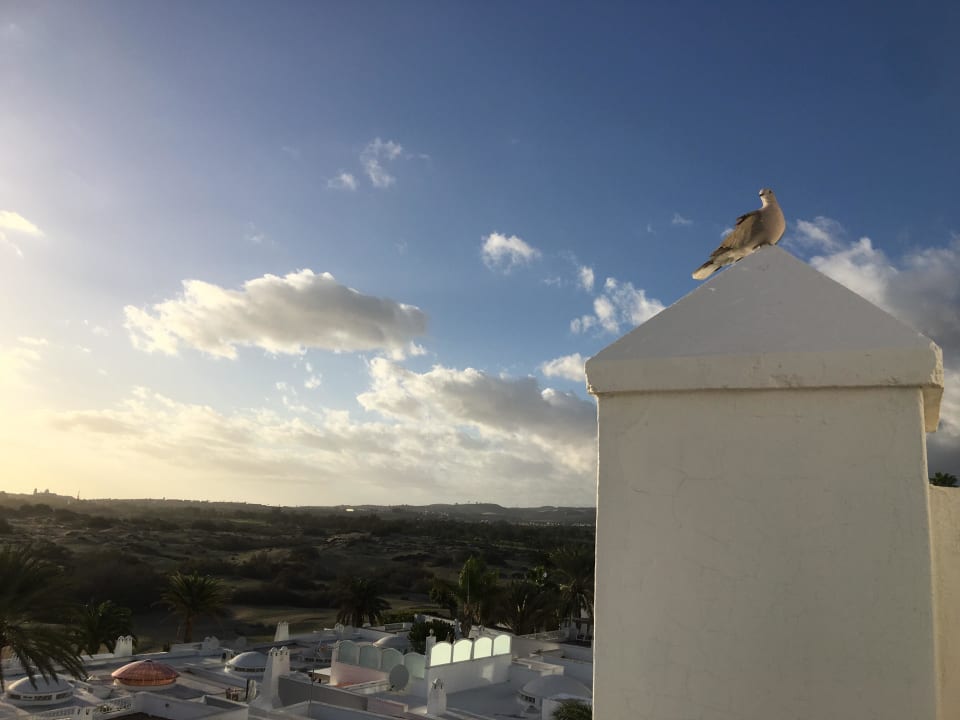 Aussicht Hotel Riu Palace Maspalomas Adults Only
