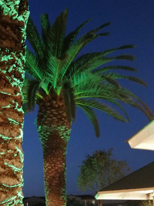 Außenansicht Ionion Blue Hotel Zante