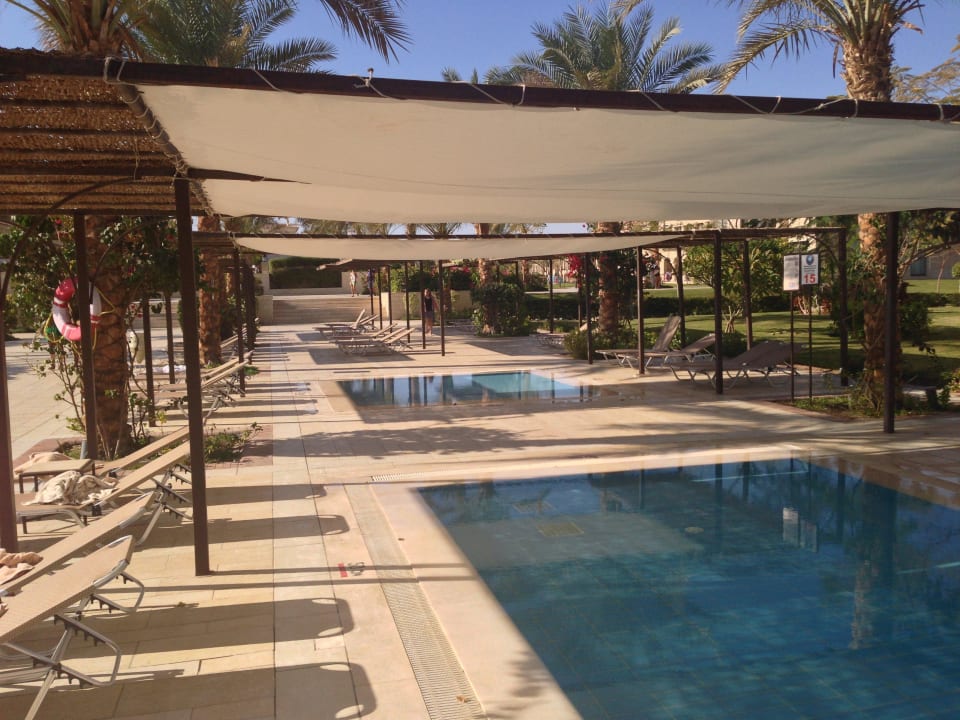 Pool Babys (viele) JAZ Aquamarine Resort
