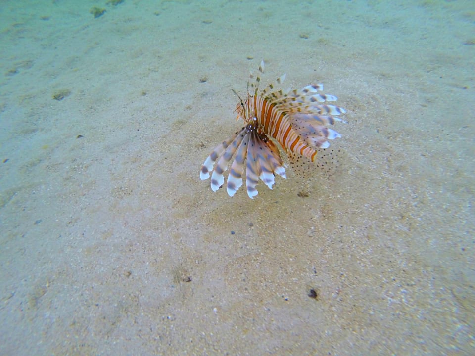 Strand Casa Mare Resort