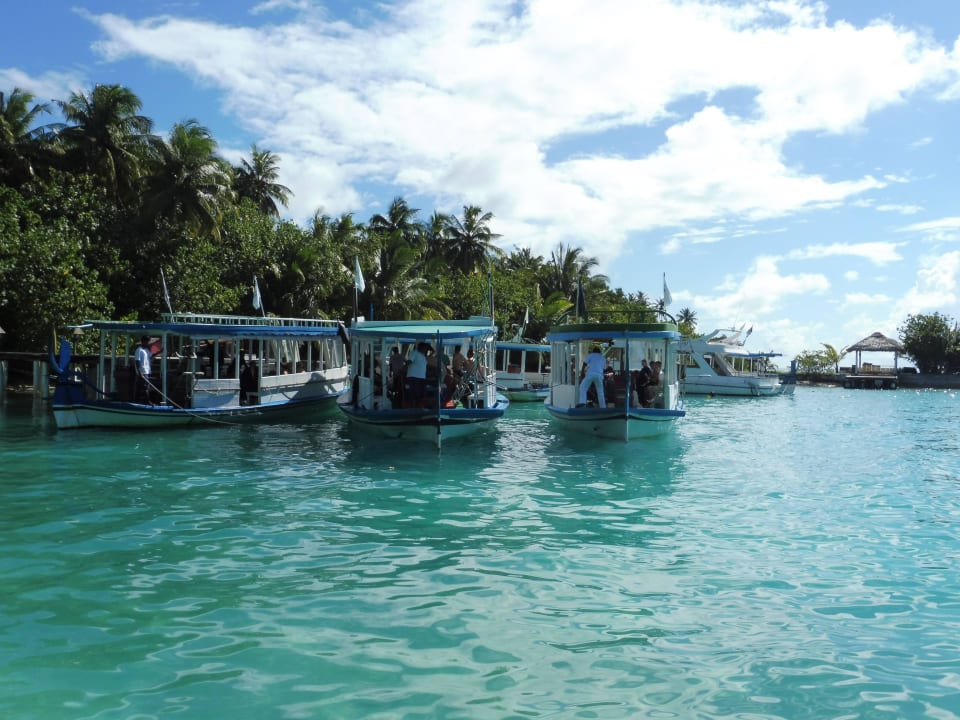 Taucherboote bereit zum Auslaufen Filitheyo Island Resort