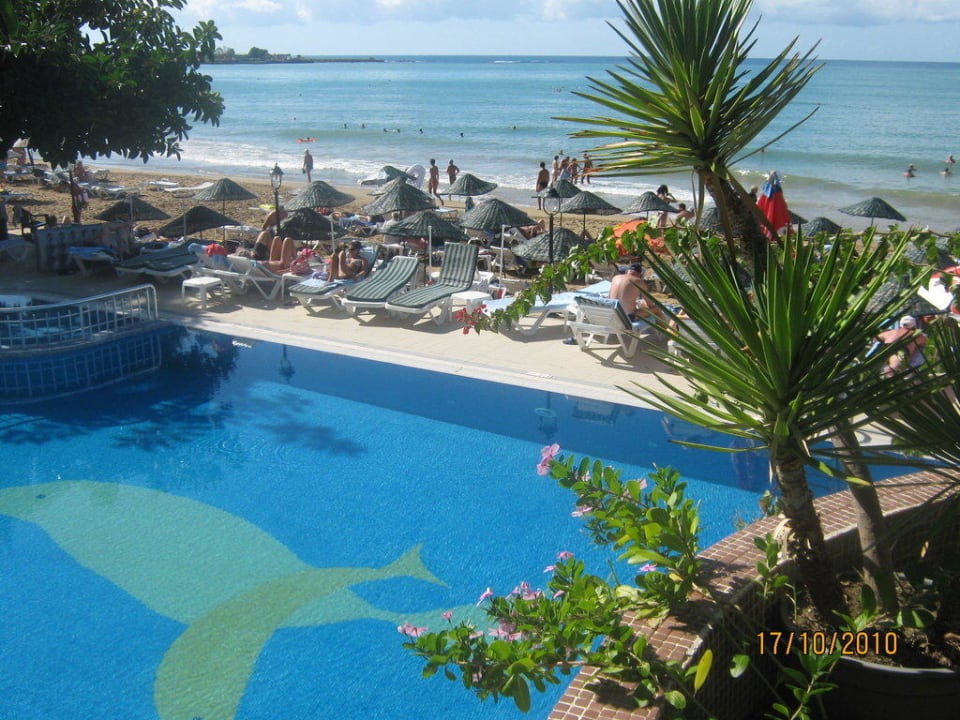 Бассейн Aska Hotel Just in Beach