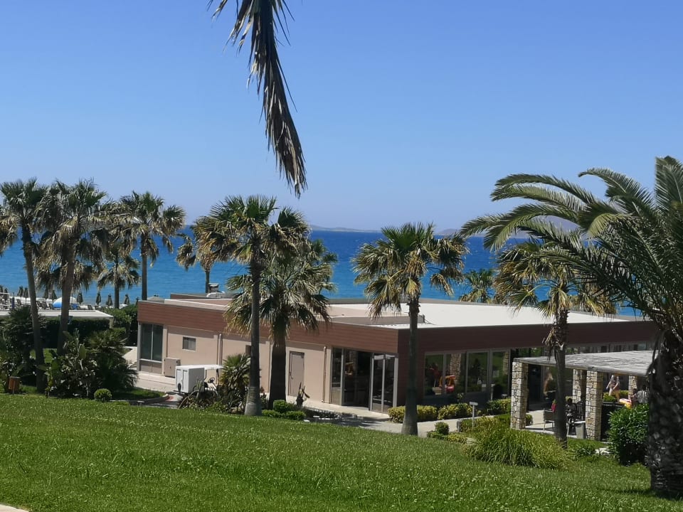 Gartenanlage Hotel Horizon Beach Resort