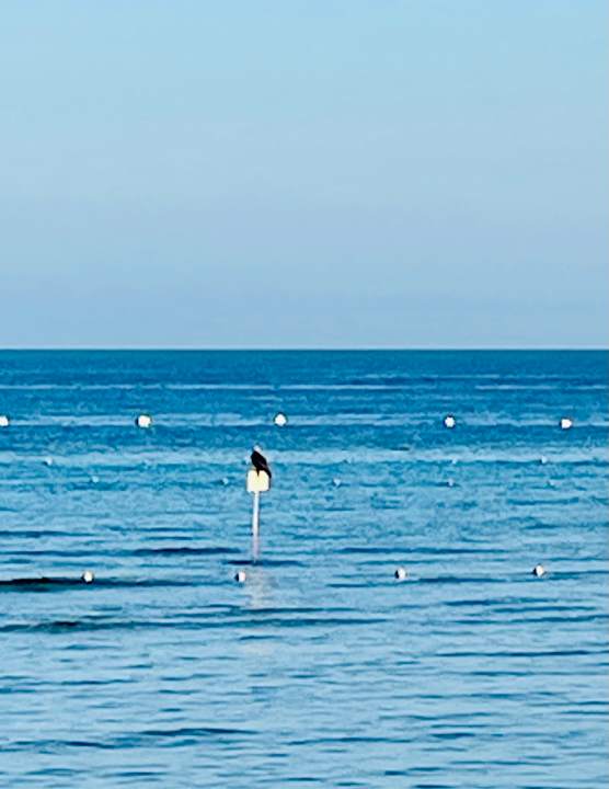 Strand Makadi Spa - Adults only