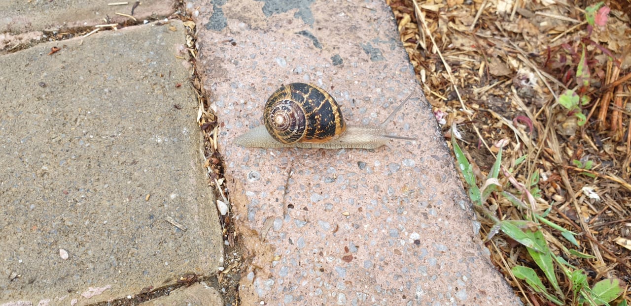 Sonstiges Anemos Luxury Grand Resort