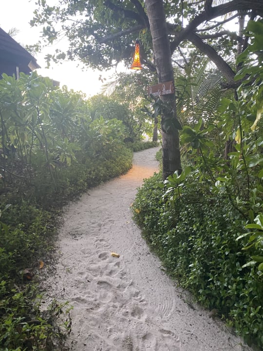 Gartenanlage Komandoo Island Resort & Spa - Adults only