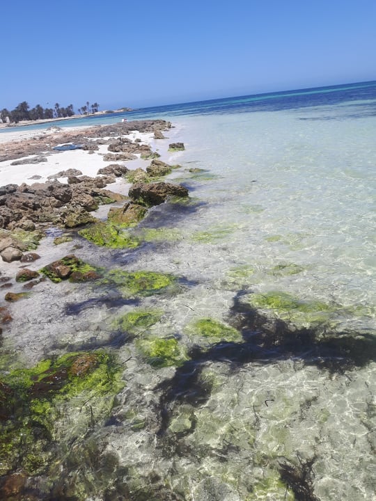 Strand Hotel El Mouradi Djerba Menzel