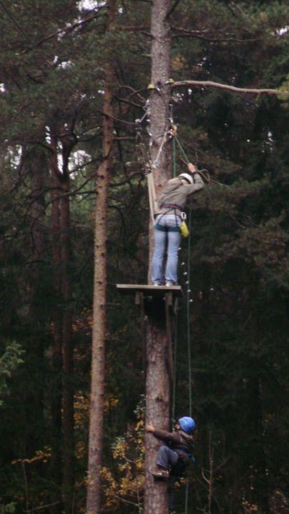 Ausflug Kinderhotel in den Hochseilgarten POST Family Resort