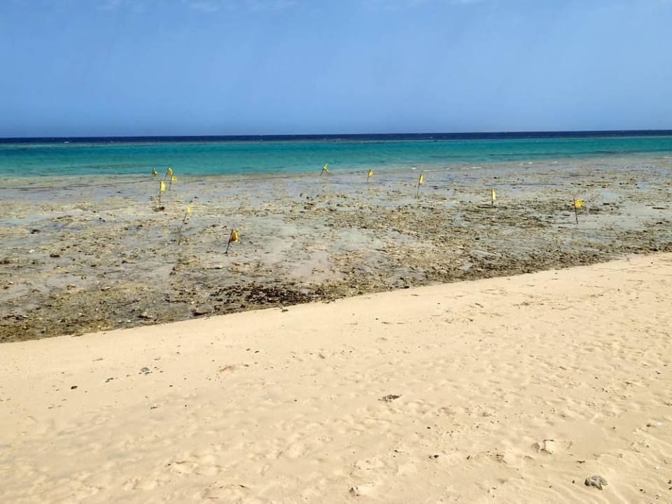 Einstieg ins Innenriff Hotel Gorgonia Beach Resort