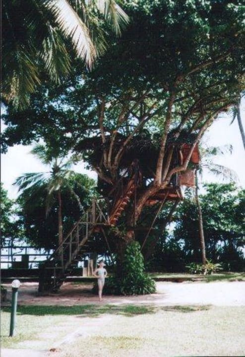 Baumhaus in den Gartenanlage Hotel Club Palm Garden