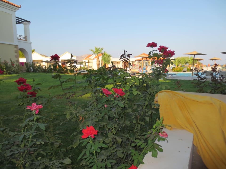 Blick aus dem Zimmer Lindos Imperial Resort & Spa