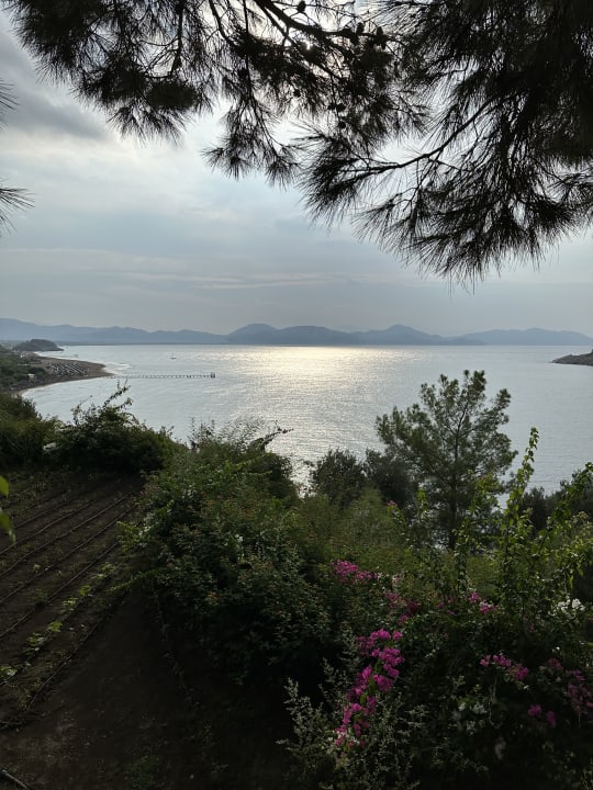 Ausblick TUI BLUE Seno - Adults Only