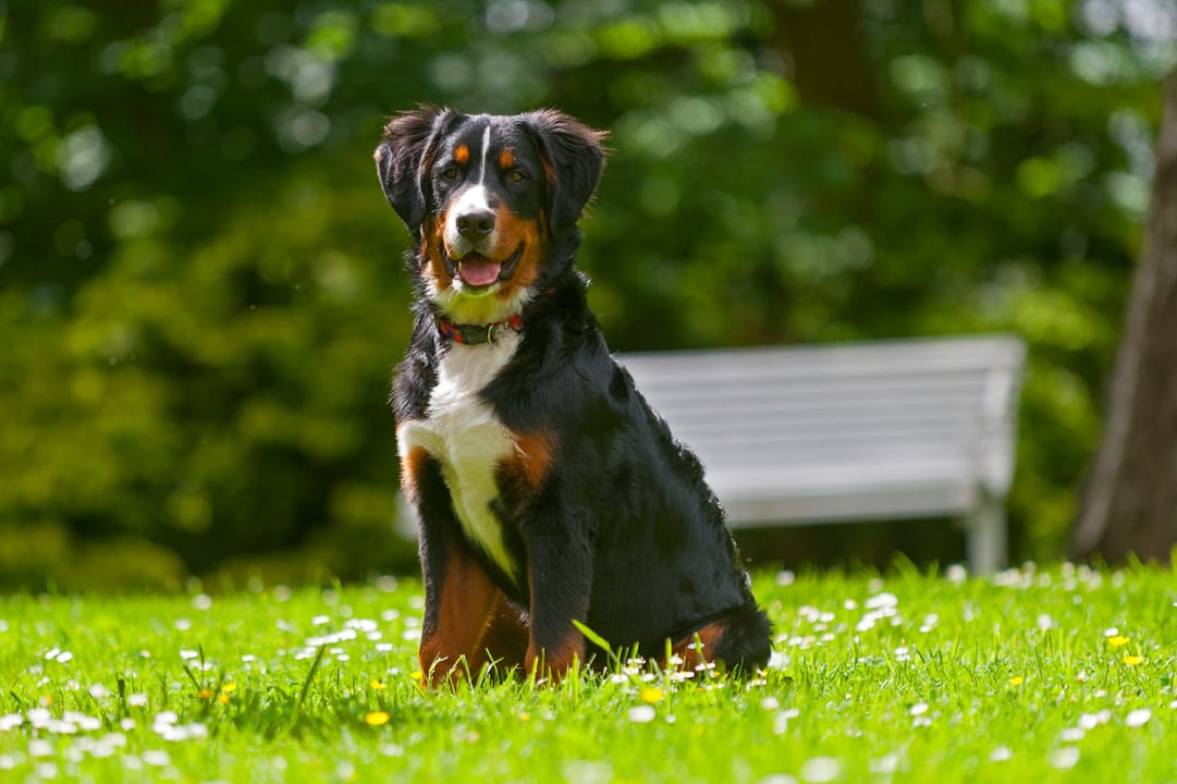 Sport & Freizeit Nordseeferienhof Katthusen