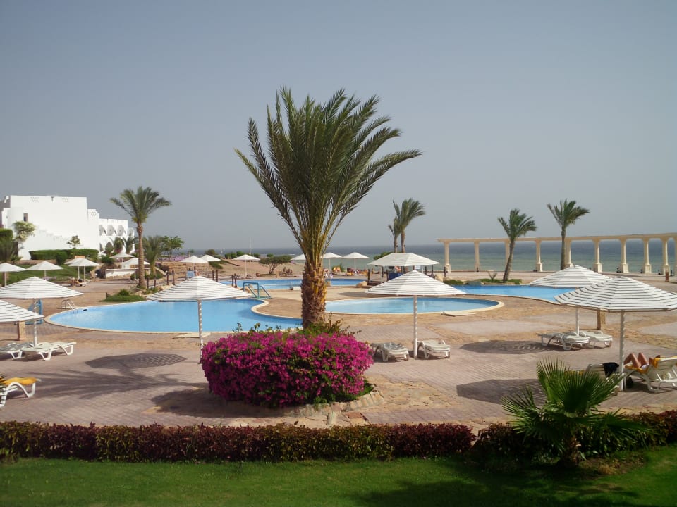 Pool Three Corners Equinox Beach Resort