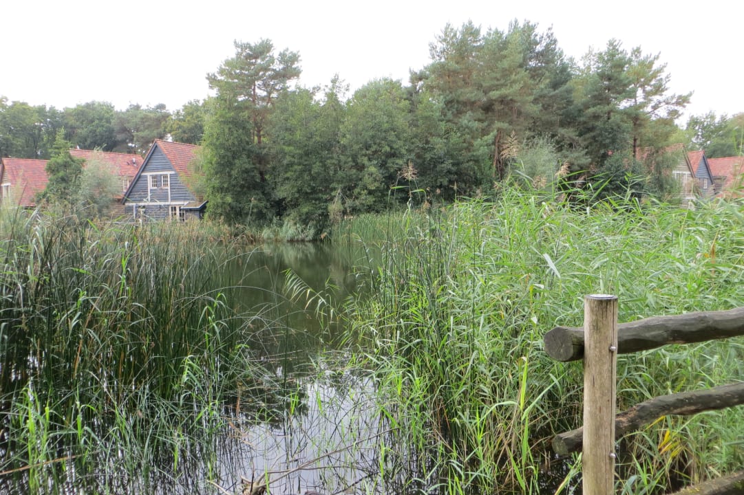Gartenanlage Ferienpark Efteling Bosrijk