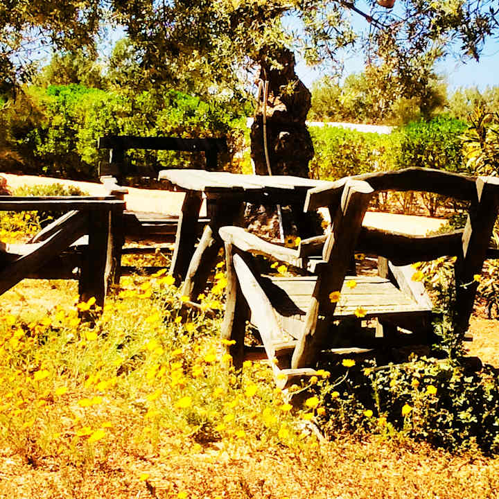 Gartenanlage Maison dˋHôte Domaine El-Manar