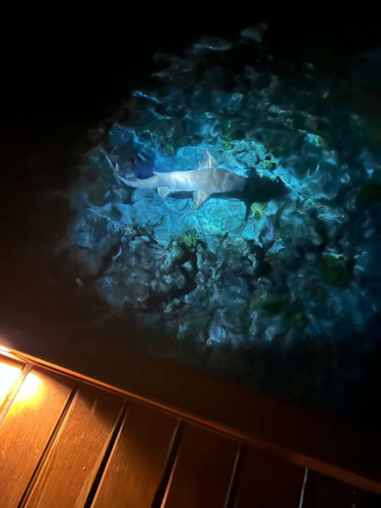 Strand Adaaran Select Meedhupparu Island Resort - Premium All Inclusive