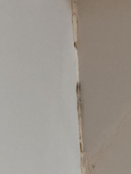 Zimmer SBH Costa Calma Beach Resort