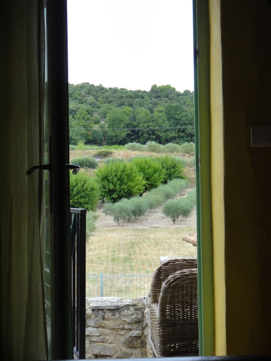 Vue sur les oliviers Hotel La Magnanerie De Bernas