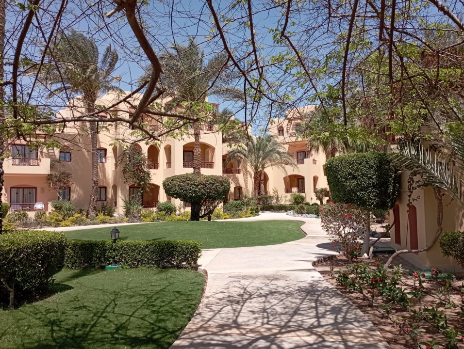 Gartenanlage Steigenberger Coraya Beach - Adults only