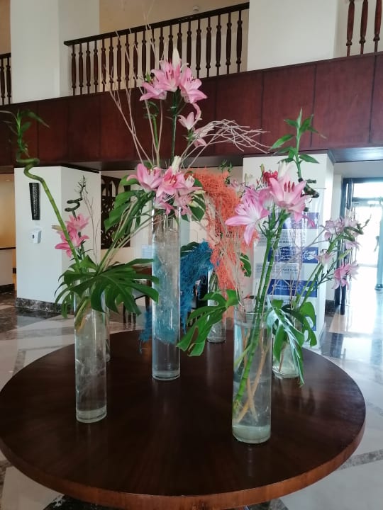 Lobby Steigenberger Aqua Magic