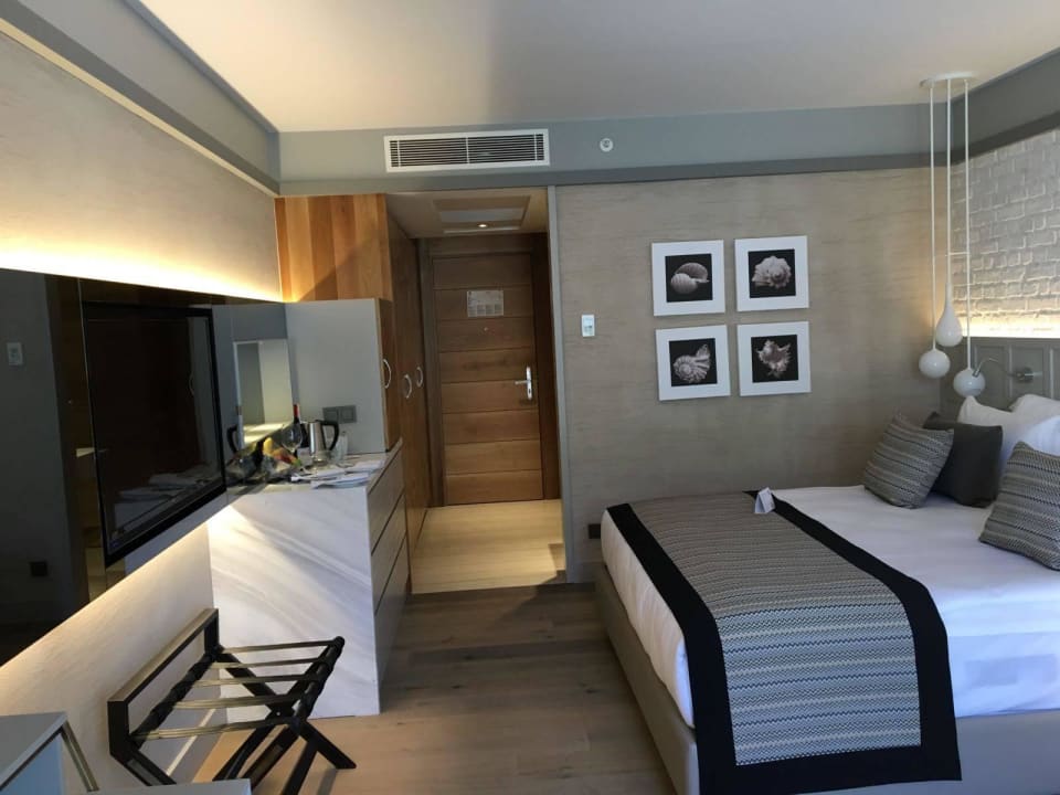 Standard Swim up Room Acanthus Cennet Barut Collection