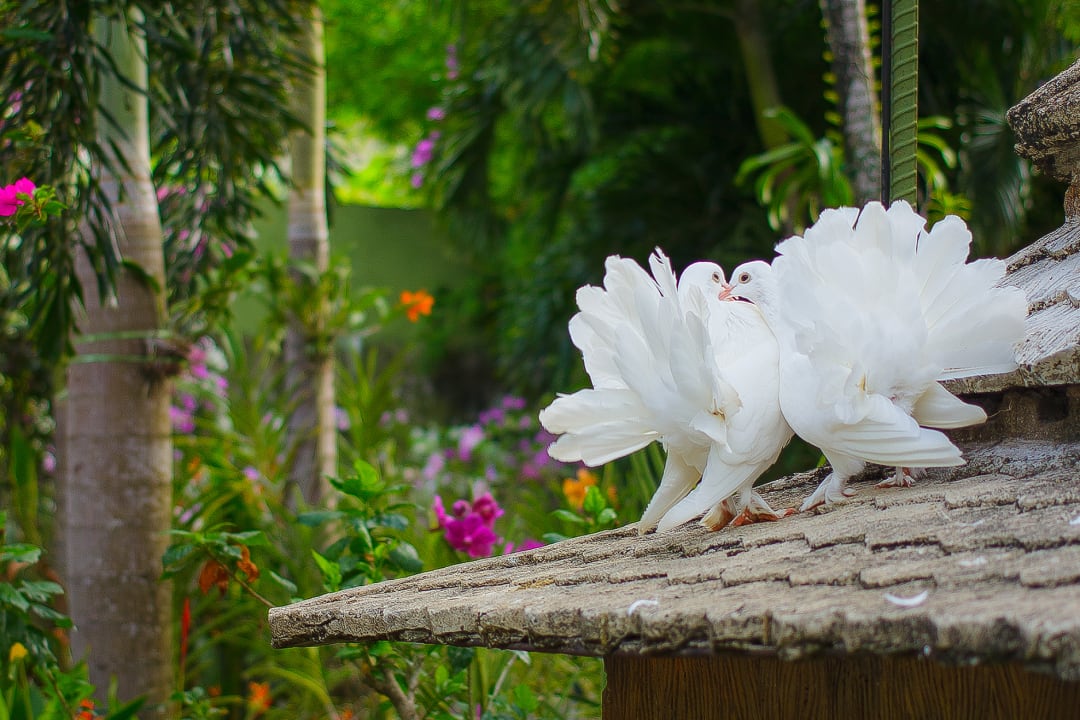 Gartenanlage Thavorn Beach Village Resort & Spa