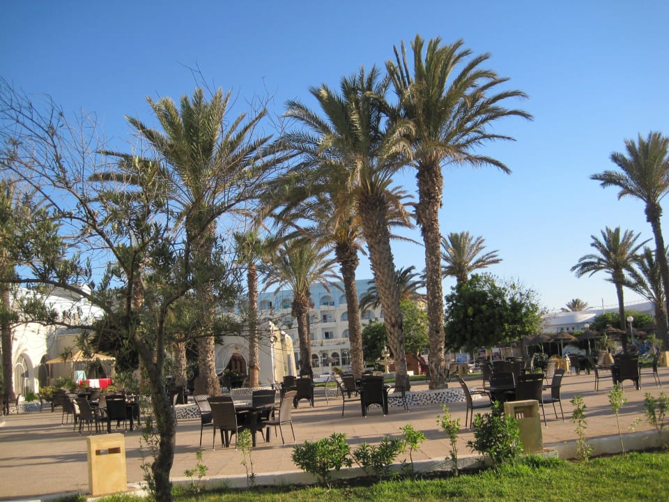 Pohled na posezení mezi palmami El Mehdi Beach Resort