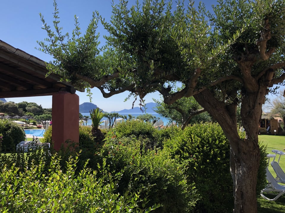 Zimmer Hotel Resort & Spa Baia Caddinas