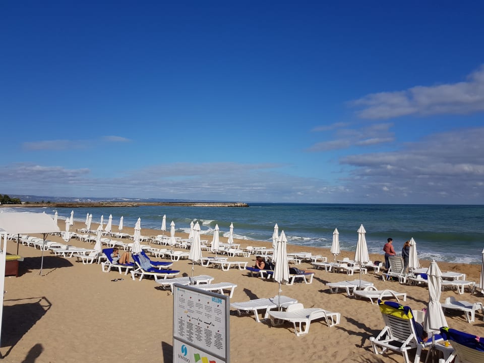 Strand Sentido Marea