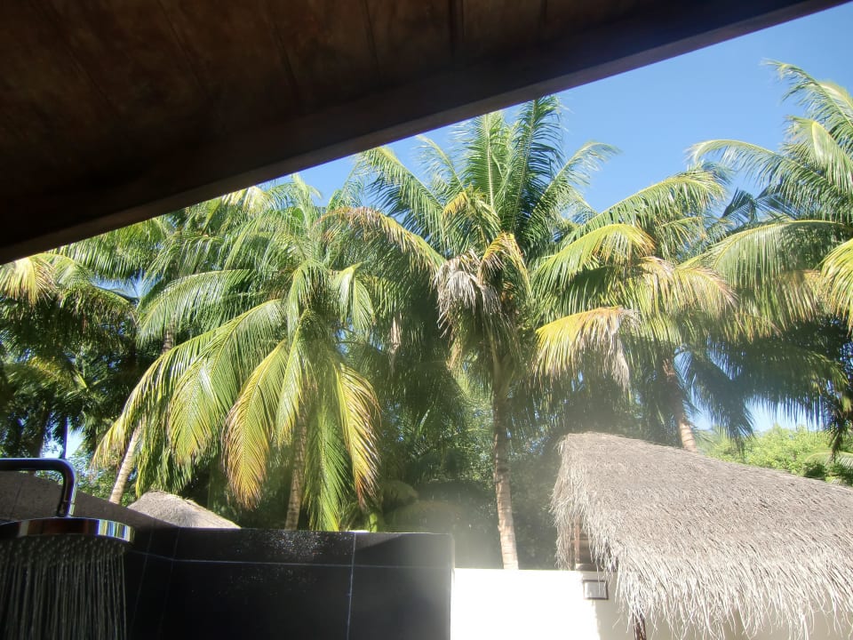 Blick aus dem offenen Bad nach oben Meeru Maldives Resort Island