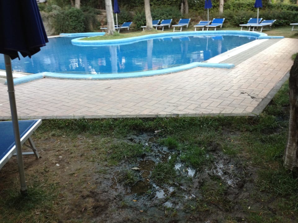 Grünfläsche? Hotel Villa Paradiso