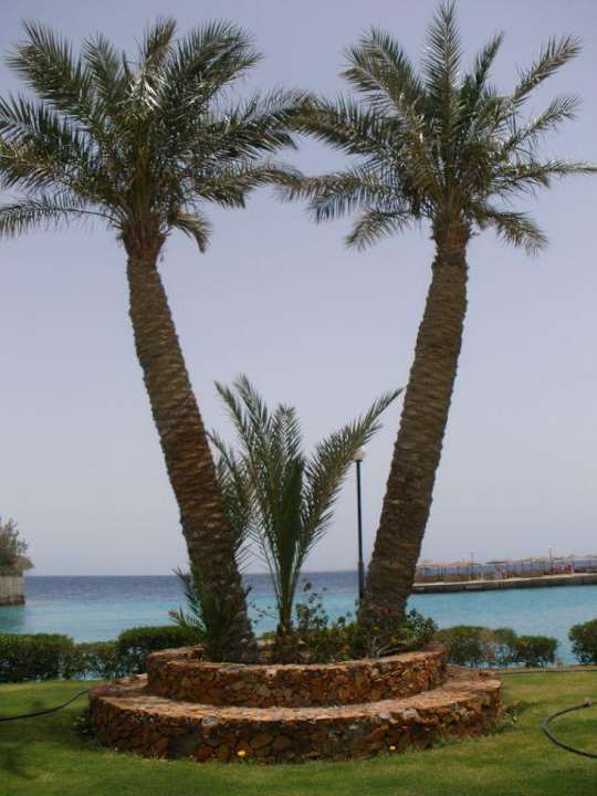 Palme Arabella Azur Resort