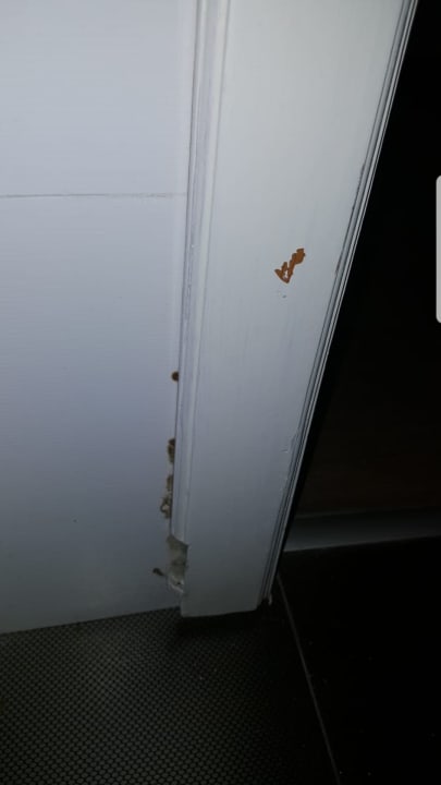 Zimmer H10 Las Palmeras