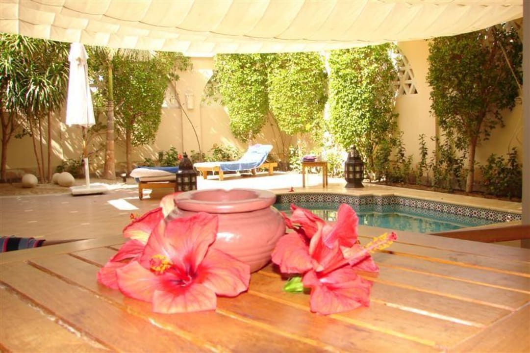 Nicht nur Schattenspender Hotel JAZ Makadi Star & Spa