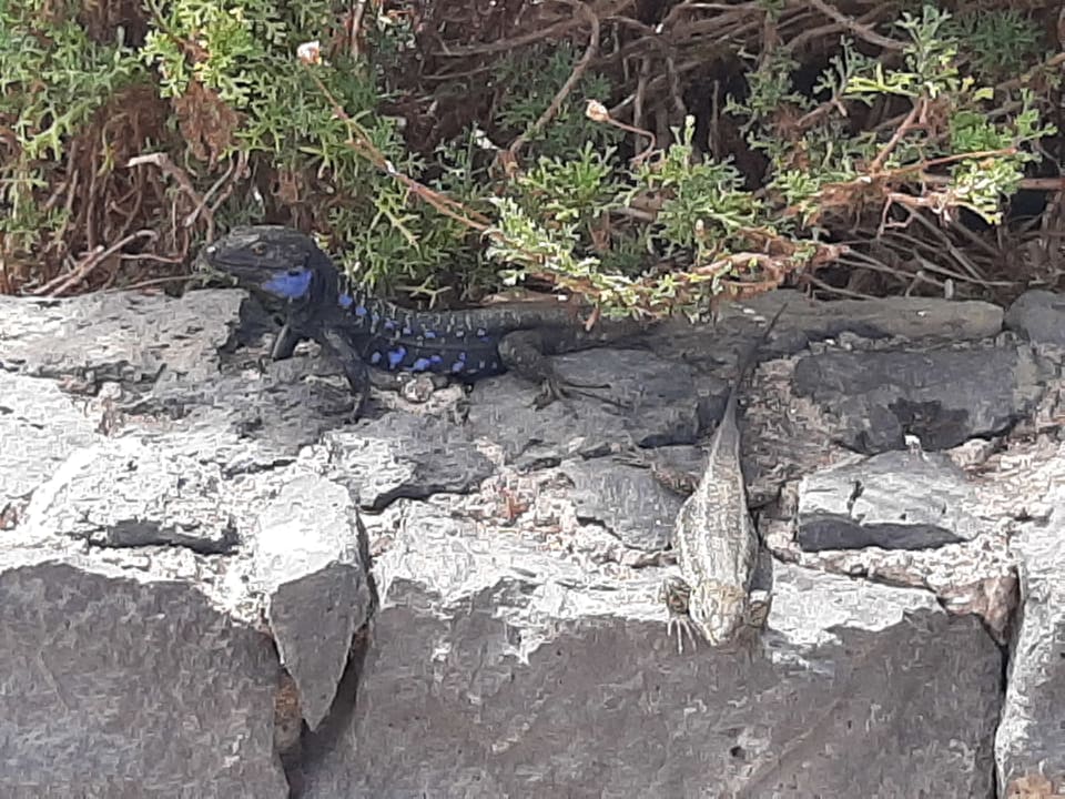 Sonstiges Hotel Marte