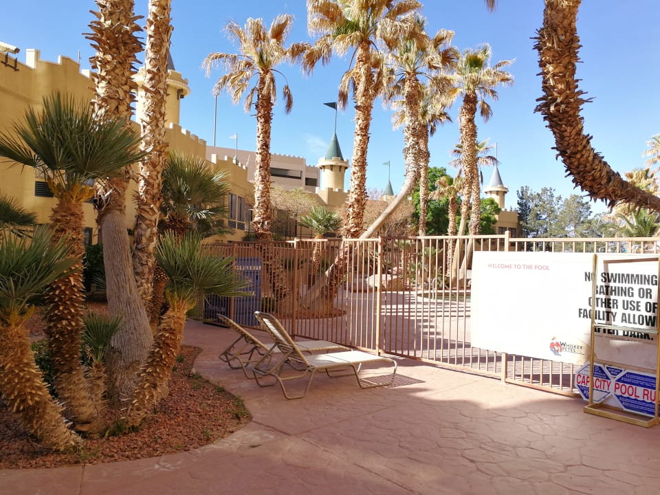 Pool Whiskey Pete's Hotel & Casino