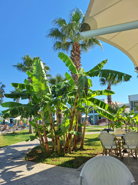 Außenansicht Aquasis De Luxe Resort & Spa