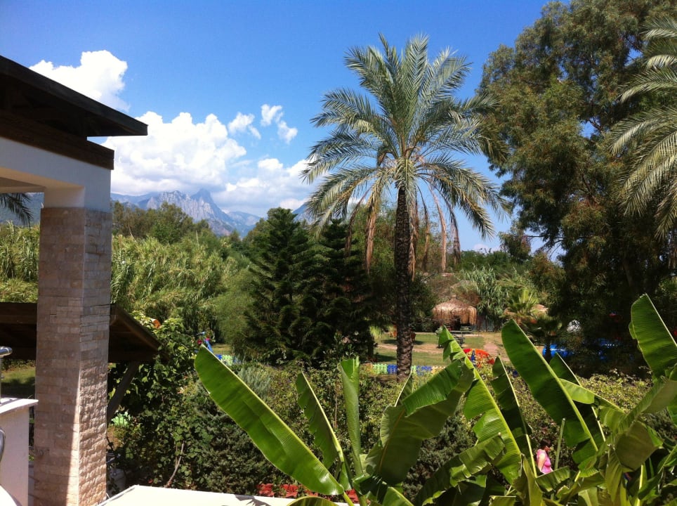 Ausblick Terrasse Armas Gül Beach