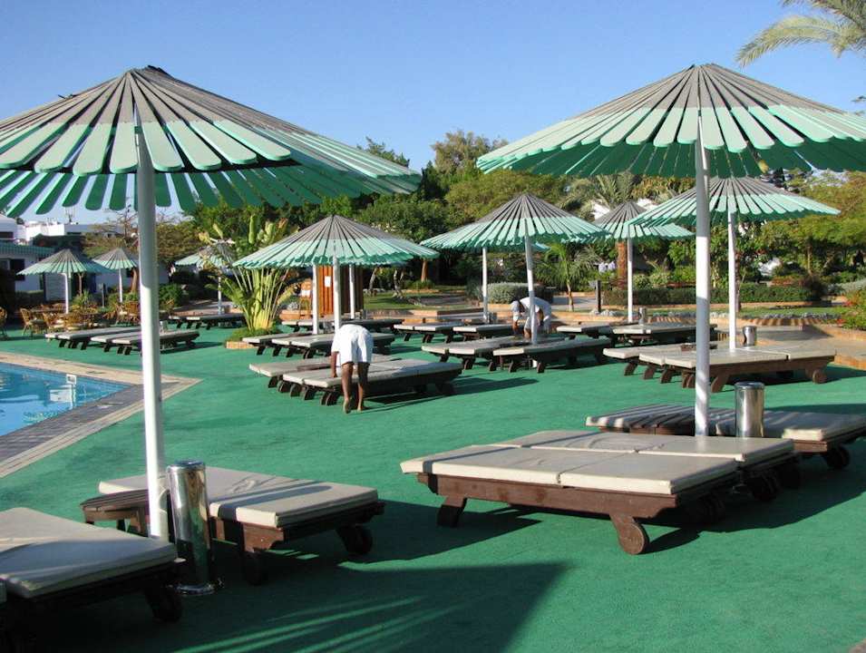 Fleißige Poolboys Ghazala Beach