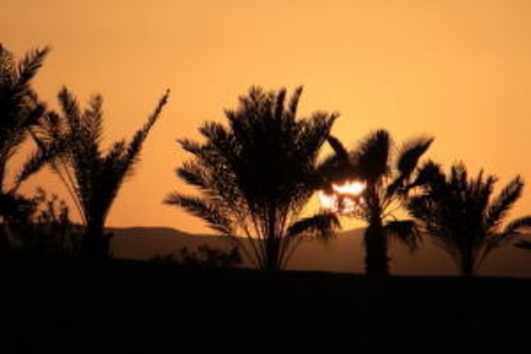 Sonnenuntergang Hotel Turtle Guest House