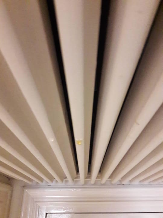 Braune Flüssigkeit aus der Klimaanlage TUI BLUE Palm Beach Palace Djerba