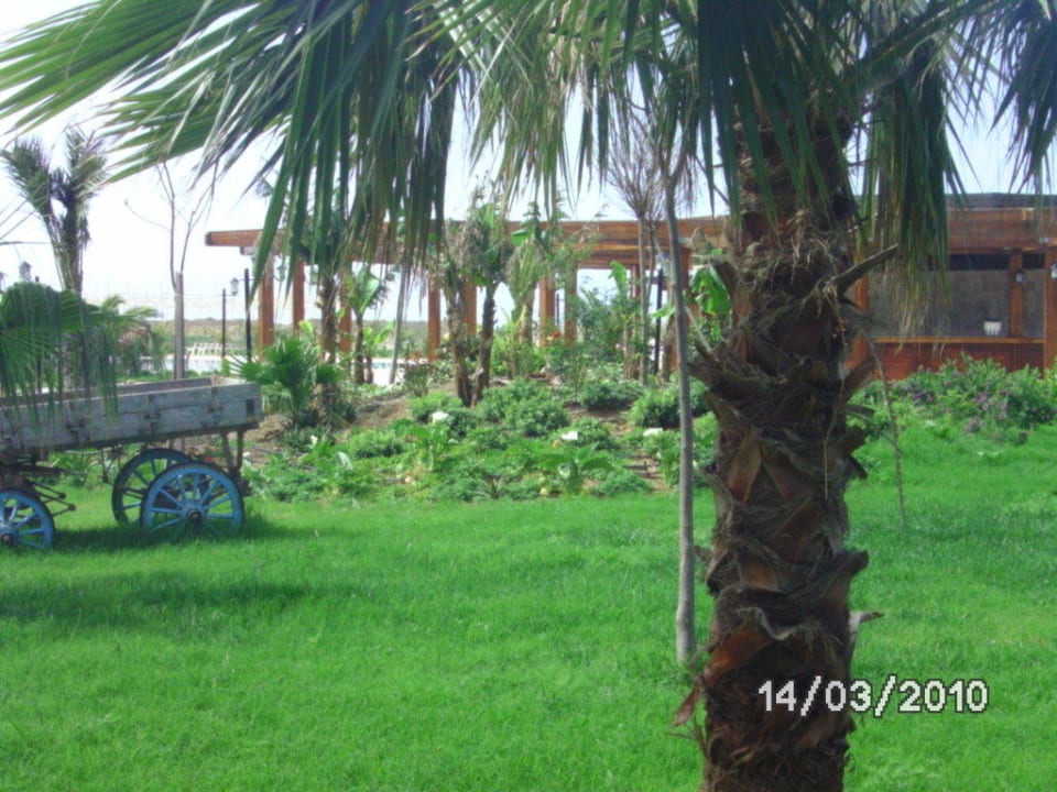 Es grünt so grün Seaden Sea World Resort & Spa