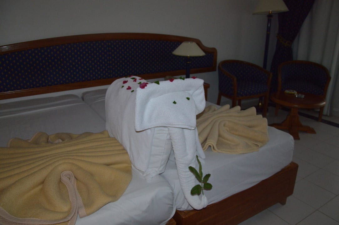 Ahmed creations Desert Rose