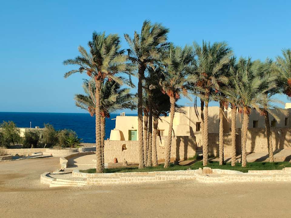 Außenansicht The Oasis Dive Resort