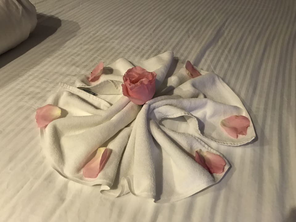 Zimmer Arycanda Kirman Premium